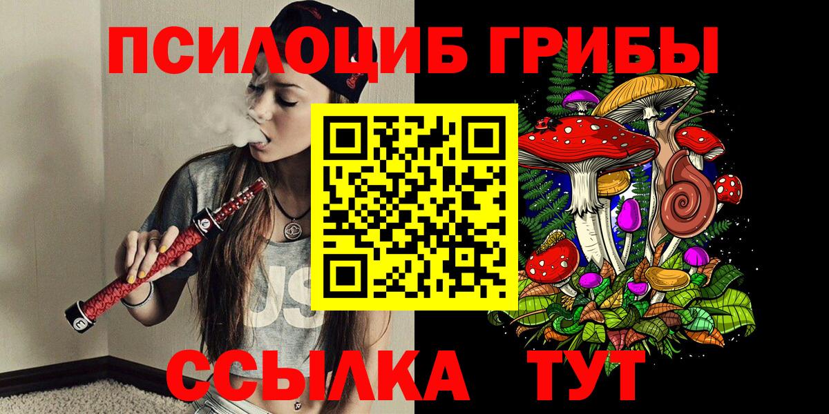 Псилоцибиновые грибы мицелий  Галлюциногенные грибы GOLDEN TEACHER  Вход с VPN  Нальчик 