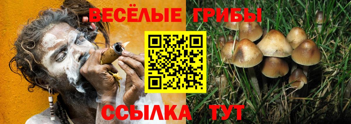 Галлюциногенные грибы GOLDEN TEACHER Нальчик